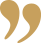 Icon Review